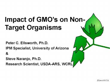 Impact of GMO