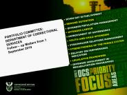 PORTFOLIO COMMITTEE: