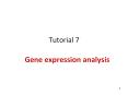 Gene expression analysis PowerPoint PPT Presentation