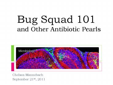 Bug Squad 101 and Other Antibiotic Pearls