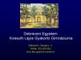 Debreceni Egyetem Kossuth Lajos Gyakorl PowerPoint PPT Presentation