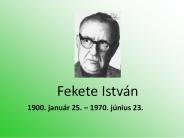 Fekete Istv