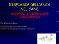 DISPLASIA DELL PowerPoint PPT Presentation