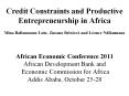 Credit Constraints and Productive Entrepreneurship in Africa Mina Baliamoune-Lutz, Zuzana Brixiov PowerPoint PPT Presentation