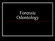 Forensic Odontology