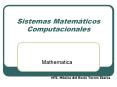 Sistemas Matem PowerPoint PPT Presentation