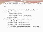 Desarrollo cognitivo en los dos primeros a