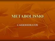 METABOLISMO