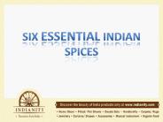 7 Essential Indian Spices
