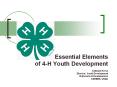 Essential Elements of 4-H Youth Development  Cathann Kress Director, Youth Development National 4-H Headquarters CSREES, USDA PowerPoint PPT Presentation
