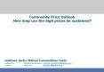 Commodity Price Outlook How long can the high prices be sustained? PowerPoint PPT Presentation