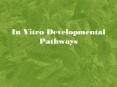 In Vitro Developmental Pathways PowerPoint PPT Presentation