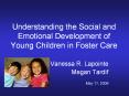Understanding the Social and Emotional Development of Young Children in Foster Care PowerPoint PPT Presentation