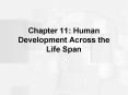 Chapter 11: Human Development Across the Life Span PowerPoint PPT Presentation