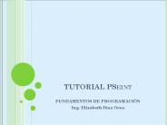 TUTORIAL PSeint