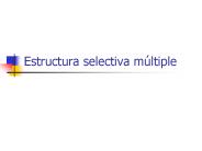 Estructura selectiva m