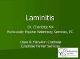 Laminitis PowerPoint PPT Presentation
