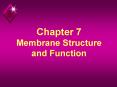 Chapter 7 Membrane Structure and Function PowerPoint PPT Presentation