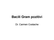 Bacili Gram pozitivi