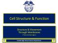 Cell Structure PowerPoint PPT Presentation