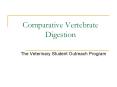 Comparative Vertebrate Digestion PowerPoint PPT Presentation