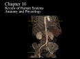Chapter 10 Review of Human Systems Anatomy and Physiology PowerPoint PPT Presentation