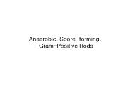 Anaerobic, Spore-forming,
