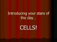 Introducing your stars of the day PowerPoint PPT Presentation