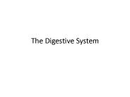 The Digestive System