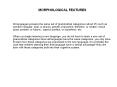MORPHOLOGICAL FEATURES PowerPoint PPT Presentation