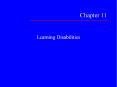 Learning Disabilities PowerPoint PPT Presentation