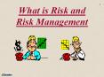 What is Risk and Risk Management PowerPoint PPT Presentation