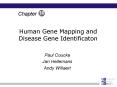 Human Gene Mapping and Disease Gene Identificaton PowerPoint PPT Presentation
