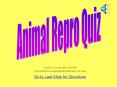 Animal Repro Quiz PowerPoint PPT Presentation