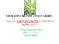 Maize Lethal Necrosis Disease (MLND) PowerPoint PPT Presentation