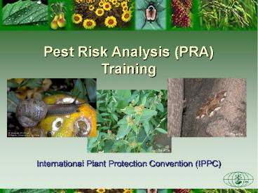 Pest Risk Analysis (PRA) Training