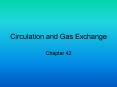 Circulation and Gas Exchange PowerPoint PPT Presentation