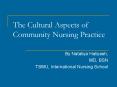 The Cultural Aspects of Community Nursing Practice PowerPoint PPT Presentation