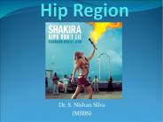 Hip Region