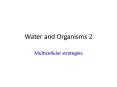 Water and Organisms 2 PowerPoint PPT Presentation