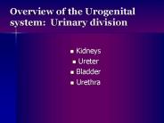 Overview of the Urogenital system: Urinary division