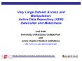 Very Large Dataset Access and Manipulation: Active Data Repository (ADR) DataCutter and MetaChaos PowerPoint PPT Presentation