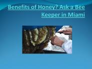 Bee Keeper Miami