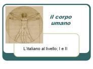 il corpo umano