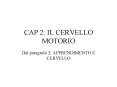 CAP 2: IL CERVELLO MOTORIO PowerPoint PPT Presentation