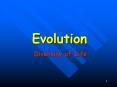 Evolution PowerPoint PPT Presentation