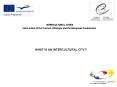 INTERCULTURAL CITIES PowerPoint PPT Presentation