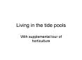 Living in the tide pools PowerPoint PPT Presentation