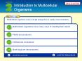 Introduction to Multicellular Organisms PowerPoint PPT Presentation