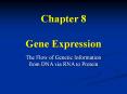 Chapter 8 Gene Expression PowerPoint PPT Presentation